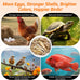 LuckyQworms Dried Freshwater Fish 1 Lbs Resealable Bag – Natural High-Protein (30% Min) Food for Turtles, Reptiles, Large Tropical Fish, Cats, and Small Pets