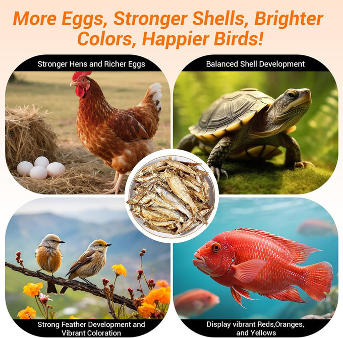 LuckyQworms Dried Freshwater Fish 1 Lbs Resealable Bag – Natural High-Protein (30% Min) Food for Turtles, Reptiles, Large Tropical Fish, Cats, and Small Pets