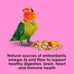 Kaytee Fiesta Big Bites Small Parrot & Conure Food, 4 Pounds, Nutritious and Fun Blend for Skin, Feather, Digestion, Brain and Heart Health