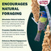 Living World Millet Spray for Birds 3.5 Oz - Premium Treat for Pet Birds and Small Birds