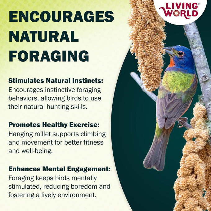 Living World Millet Spray for Birds 3.5 Oz - Premium Treat for Pet Birds and Small Birds