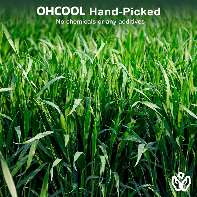 Premium dust-free natural oat hay for pets - rabbits, guinea pigs, chinchillas, hamsters & gerbils - 100% chemical-free, organic