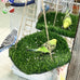 flidrunest large bird foraging mat toys natural bird grass hammock swing toy with hooks climbing perch hanging toy for parakeets and parrots
