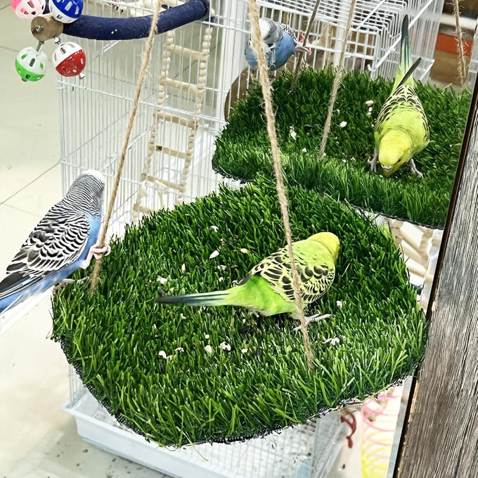 flidrunest large bird foraging mat toys natural bird grass hammock swing toy with hooks climbing perch hanging toy for parakeets and parrots