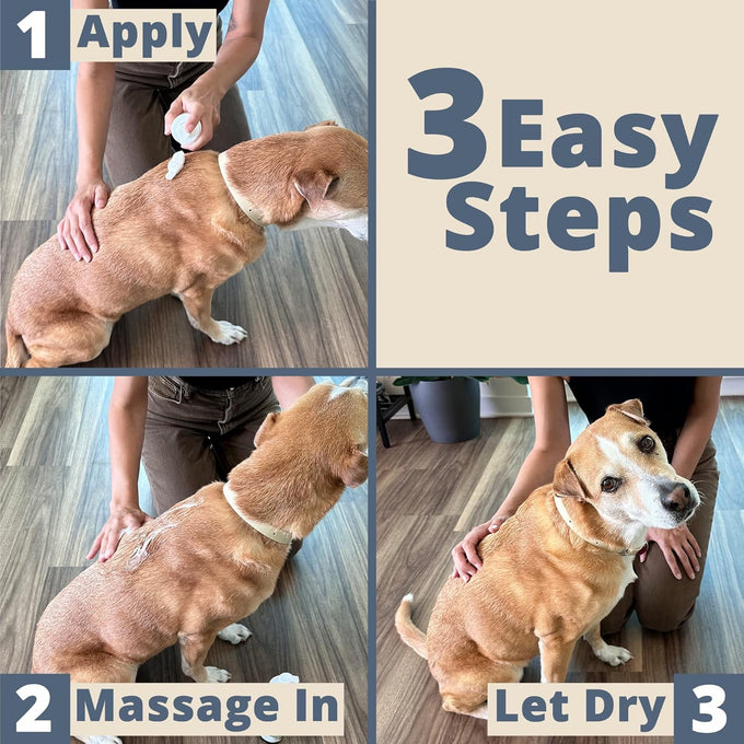 paw choice hypoallergenic waterless dog dry shampoo lavender chamomile usa made