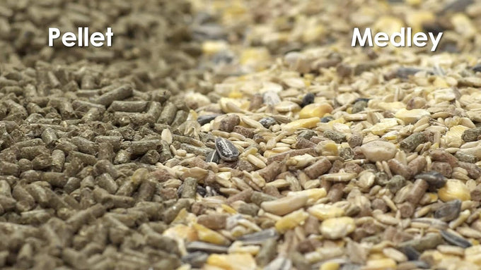 Kaytee food from the wild natural pet rabbit food, premium pellets, 4 pound, timothy hay, no added sugar
