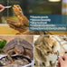 Dried River Fish Minnows - High Protein Natural Food for Turtles, Bearded Dragons, Cats & Tropical Fish (5.5oz)