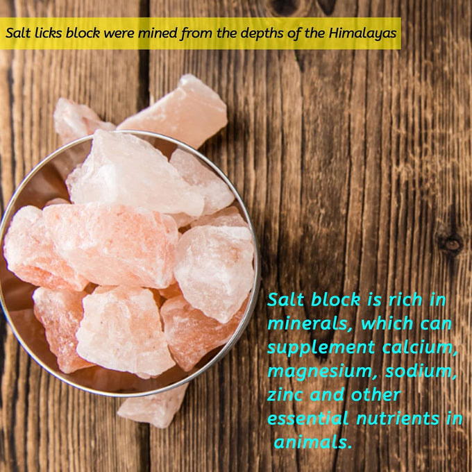pvnby 4-piece himalayan salt blocks for small pets, natural mineral salts with hook hanging
