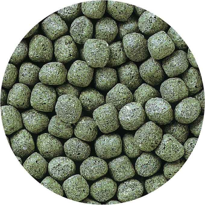 Hikari Cichlid Staple Floating Pellets Fish Food, 8.8 oz, Large Pellets, 250g, Stabilized Vitamin C