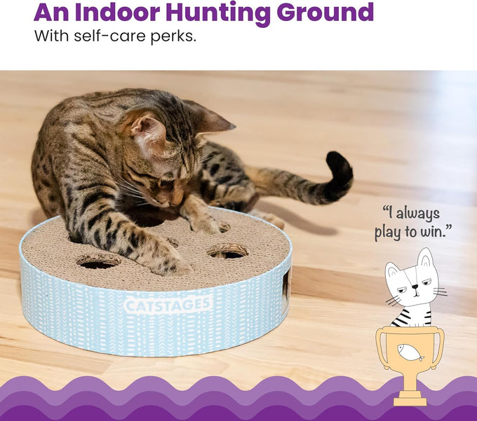 Catstages Scratch N' Hunt Interactive Cat Puzzle Toy for Indoor Cats with Claw Trimming Scratcher and 3 Hunting Balls
