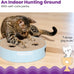 Catstages Scratch N' Hunt Interactive Cat Puzzle Toy for Indoor Cats with Claw Trimming Scratcher and 3 Hunting Balls