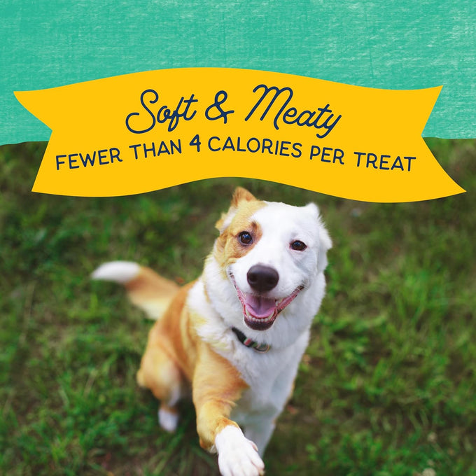 Natural Balance Limited Ingredient Mini-Rewards Chicken Grain-Free Dog Training Treats 5.3-oz Canister