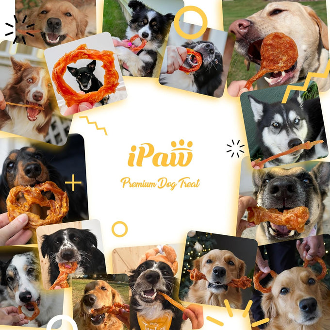 iPaw Single Protein Turkey Tendons for Dogs, Hypoallergenic, All Natural Puppy Chews, Large, Rawhide Alternative, Human Grade