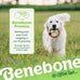 Benebone ring Durable USA made Medium Real Bacon Dog Chew Toy for Aggressive Chewers