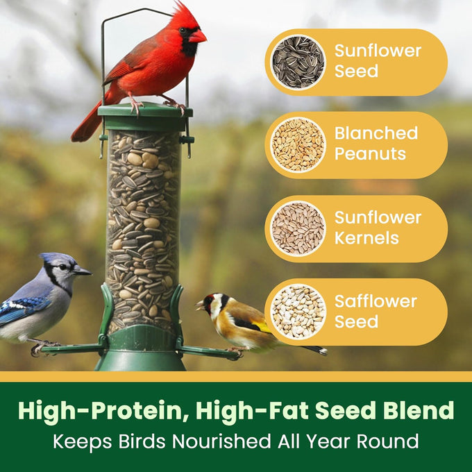 Happy Wings 5lb No Grow Songbird Bird Seed Mix with Sunflower, Safflower & Peanuts for Outside Feeders