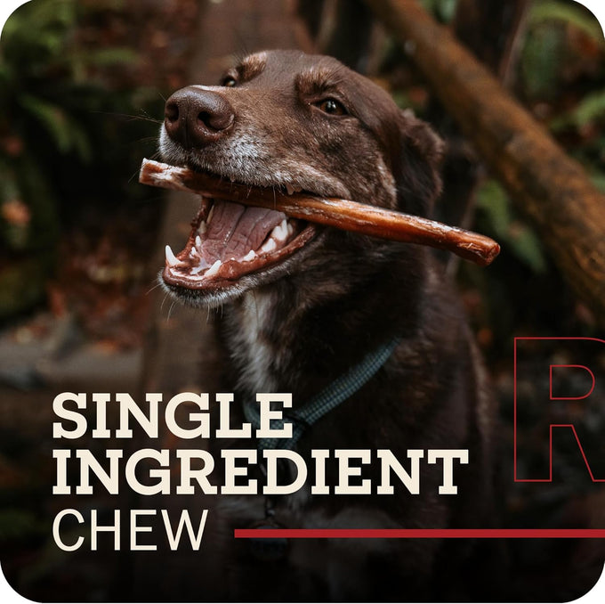 Redbarn Pet Products 5"-8" Braided Bully Sticks for Small & Large Dogs - Single Ingredient Low Odor Rawhide Free - 8 oz Bag