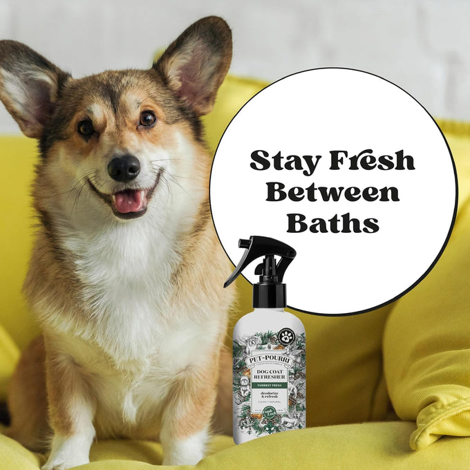 poo-pourri furrest fresh dog deodorizing spray, 8 fl oz, paraben & sulfate-free, fir, amber, & cedarwood scent