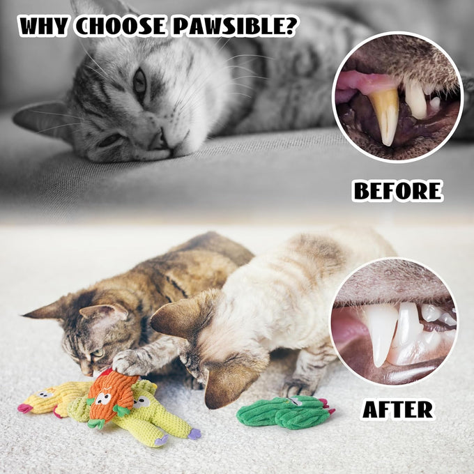 Pawsible 5-Pack Organic Catnip-Filled Cactus Cat Toys for Indoor Cats, Anxiety Relief, Teething & Chew Toys