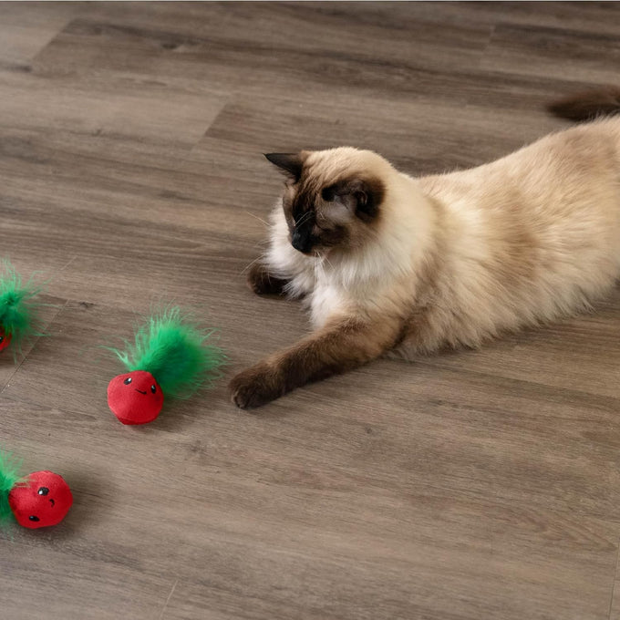 Catstages Strawbabies 3-Pack interactive cat toys for kittens and indoor cats with catnip, feathers, and crinkle
