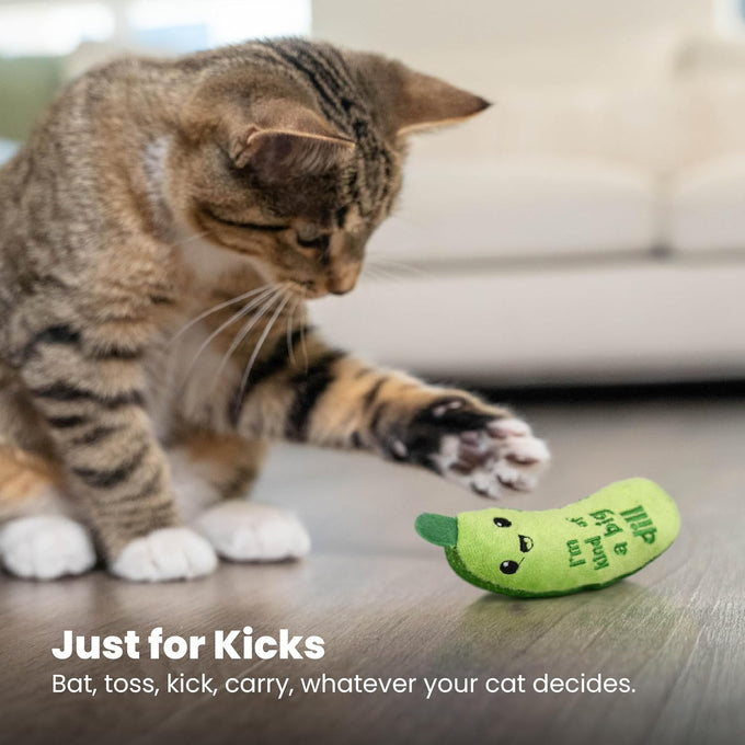 Catstages Pickle Kicker Cat Toy - Soft Plush Crinkle Toy with Catnip and Dental Mesh, 6.5"