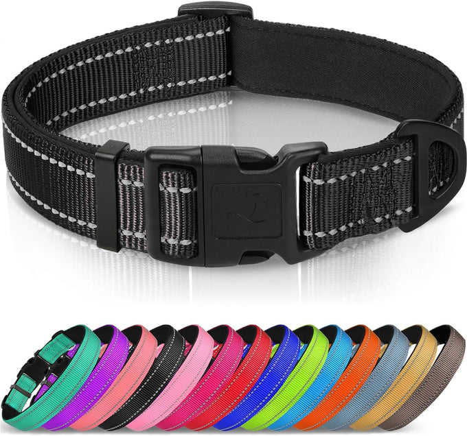 Joytale Reflective Dog Collar with Soft Neoprene Padded, Metal D-Ring, Adjustable for Large Dogs in Teal