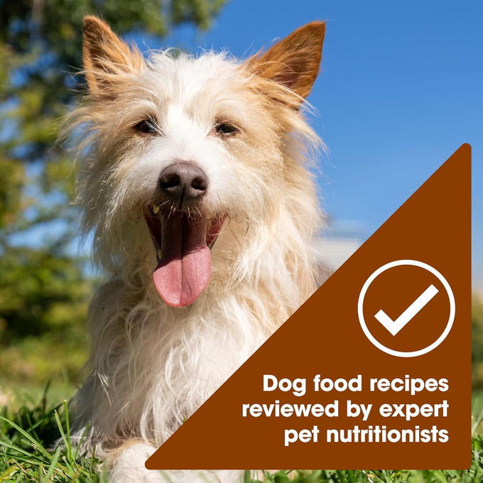 Nature's Recipe Grain Free Wet Dog Food Variety Pack