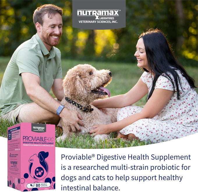 nutramax proviable probiotics for dogs and cats, 5 billion cfus, 80 capsules