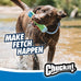 chuckit! amphibious bumper fetch stick toy for medium dogs - floats in water - interactive dog toys