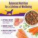 Wellness Grain-Free Chicken Stew Wet Dog Food, 12.5 oz, 12 Cans