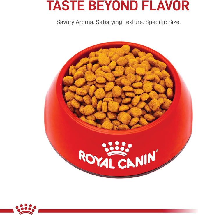 Royal Canin Feline Care Nutrition Urinary Care Adult Dry Cat Food, 6 lb Bag