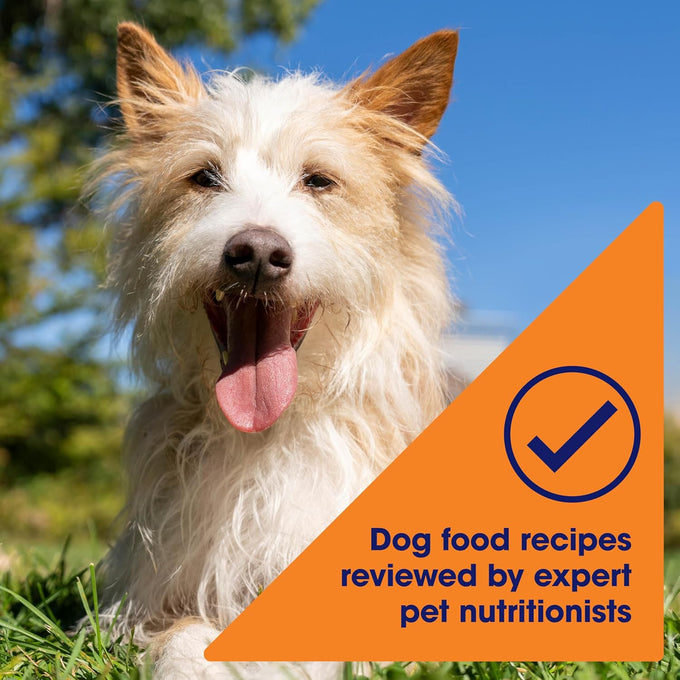 Nature's Recipe Chicken in Broth Wet Dog Food, 2.75 oz, 12 Pack