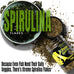 Xtreme Spirulina Flakes for Tropical and Marine Herbivorous Fish, Enhanced Health and Vibrant Colors, USA Farm Grown, Cichlids, Barbs, Tetras, Guppies (2oz)
