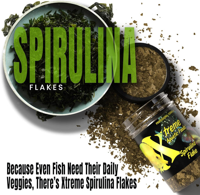Xtreme Spirulina Flakes for Tropical and Marine Herbivorous Fish, Enhanced Health and Vibrant Colors, USA Farm Grown, Cichlids, Barbs, Tetras, Guppies (2oz)