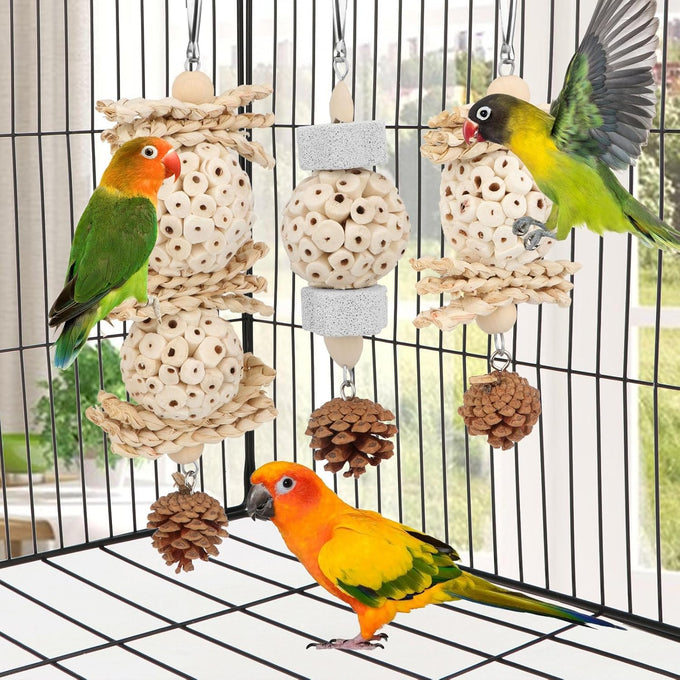Wontee natural sola ball parrot foraging hanging toys, safe for cockatiels, conures, parakeets, budgies, senegal, 3 pack