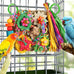 YIXUND Foraging Playground Bird Toys for Parakeets, Parrots, and Small to Medium Birds with Eco-Friendly Seagrass and Natural Wood Chew Toys