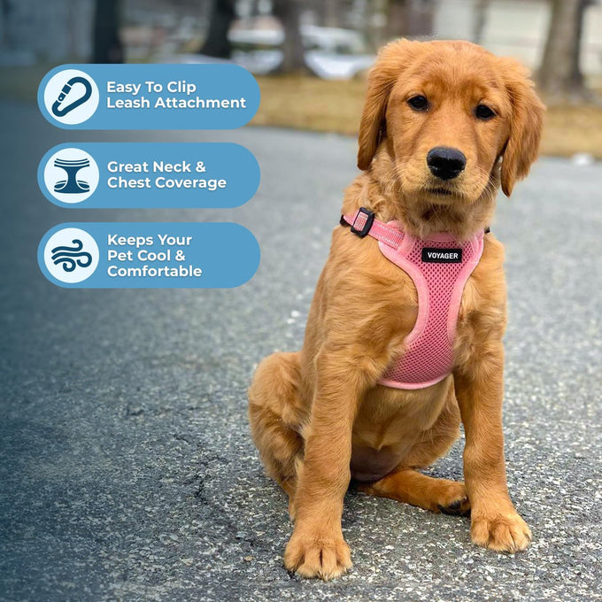 Voyager adjustable step-in flex breathable mesh dog harness for small medium large dogs pink medium size