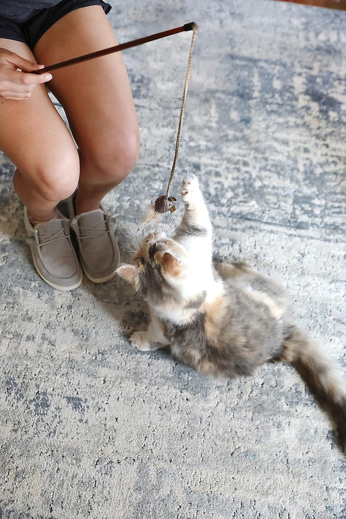 OurPets Teathered & Feathered Play Wand Cat Toy for All Breed Sizes with Real Bird Chirping Sound and Cosmic Catnip