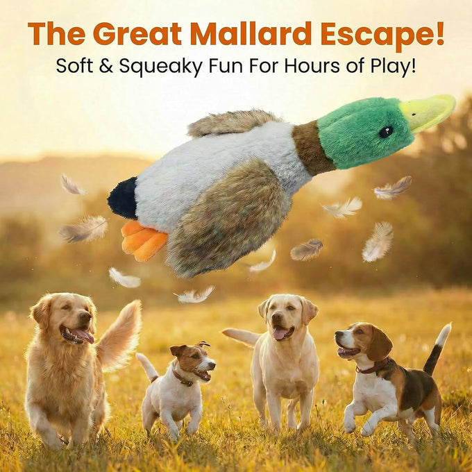 Paw-PERFECT Mallard Duck Squeaky Plush Toy for Small/Medium Size Dogs, Soft Durable Material, Crinkle Wings