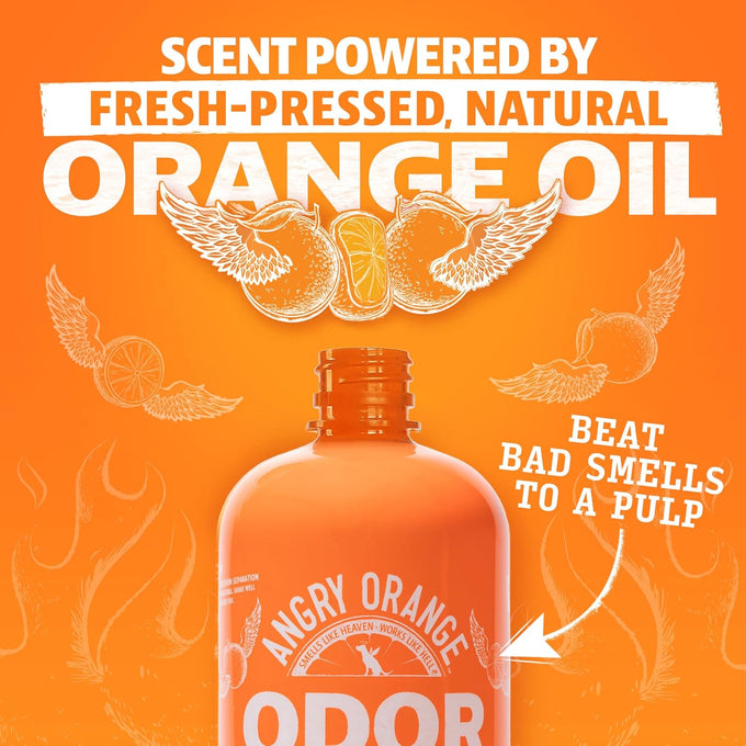 Angry Orange Pet Odor Eliminator - 24 oz Orange Rush Scent, Citrus Cleaner for Dog and Cat Urine Stains