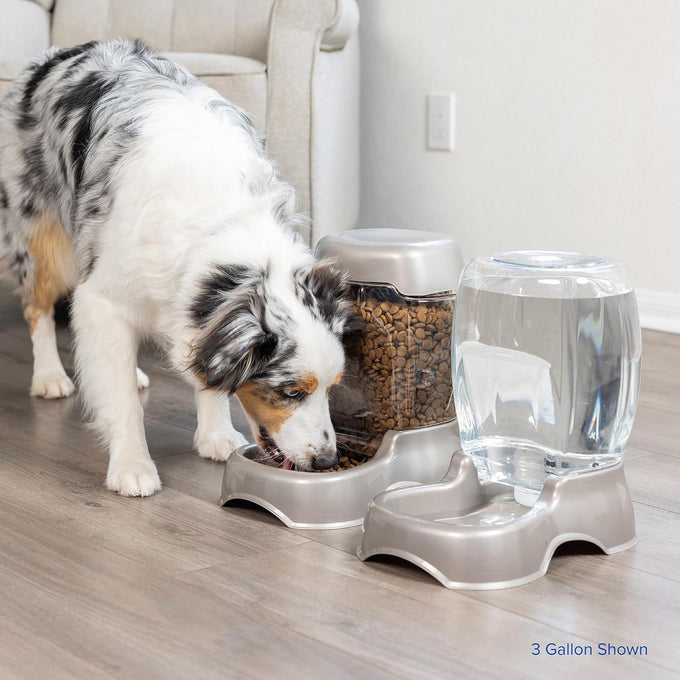 Petmate Pet Cafe Cat and Dog Water Dispenser, USA Made, 3 GAL, Pearl Tan Pet Bowl with Automatic Refill