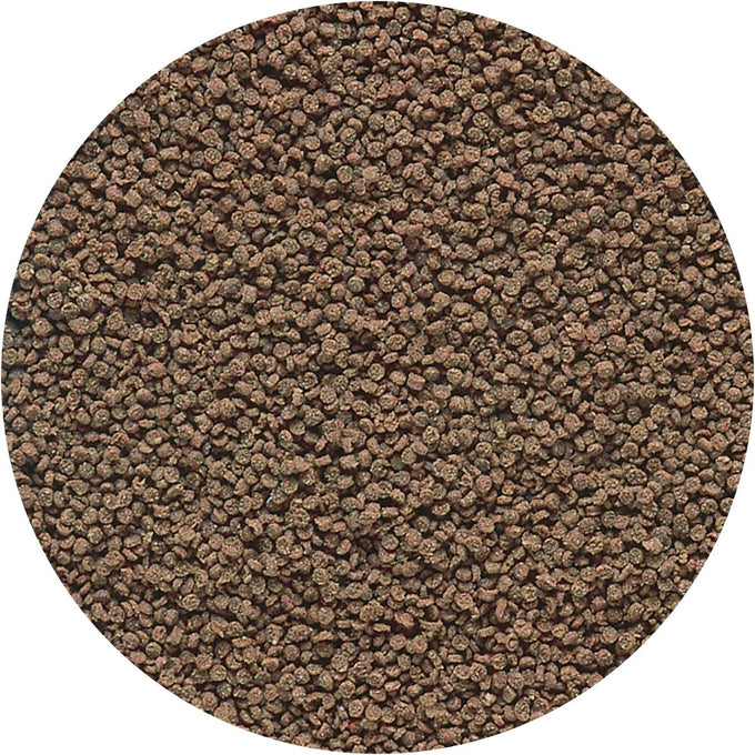 Hikari Micro Wafers for Tetras and Catfish, 0.70-Ounce, Fish Food with Spirulina and Astaxanthin