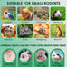 katumo small animal molar toys timothy grass treats for guinea pig hamster bunny chinchilla