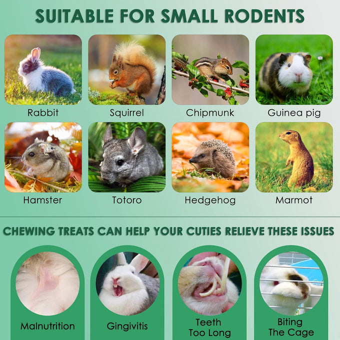 katumo small animal molar toys timothy grass treats for guinea pig hamster bunny chinchilla