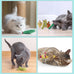 Pawsible 5-Pack Organic Catnip-Filled Cactus Cat Toys for Indoor Cats, Anxiety Relief, Teething & Chew Toys
