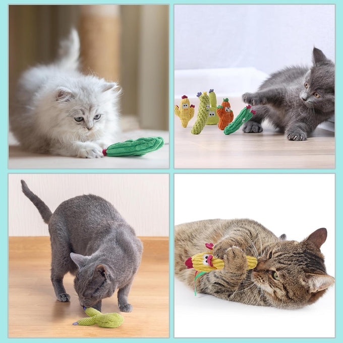 Pawsible 5-Pack Organic Catnip-Filled Cactus Cat Toys for Indoor Cats, Anxiety Relief, Teething & Chew Toys