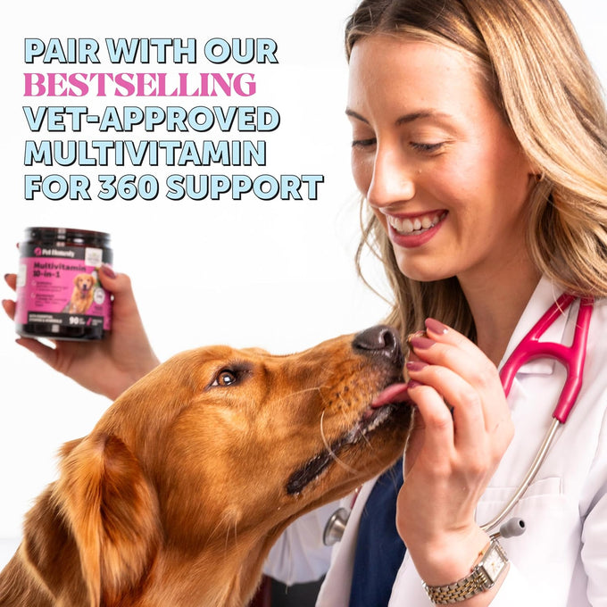 pet honesty chlorhexidine cat & dog shampoos with chlorhexidine for seasonal itch relief allergies & skin problems 16oz