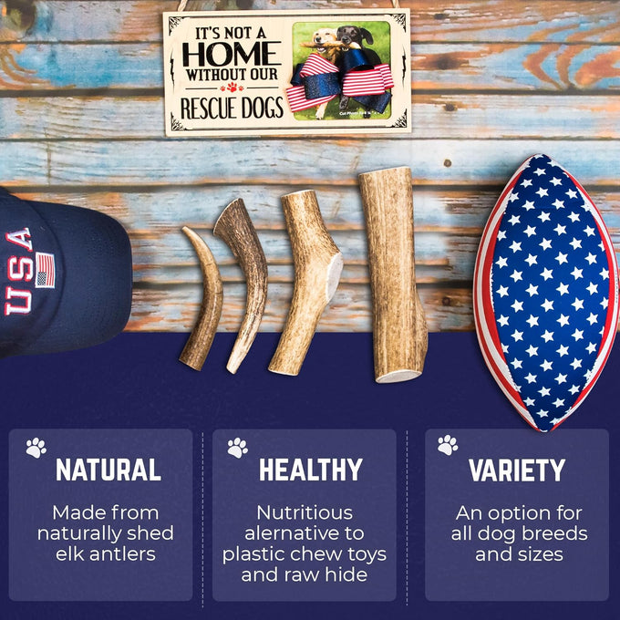 Devil Dog Pet Co. Medium 5+ USA Sourced Natural Elk Antler Dog Chew for Aggressive Chewers