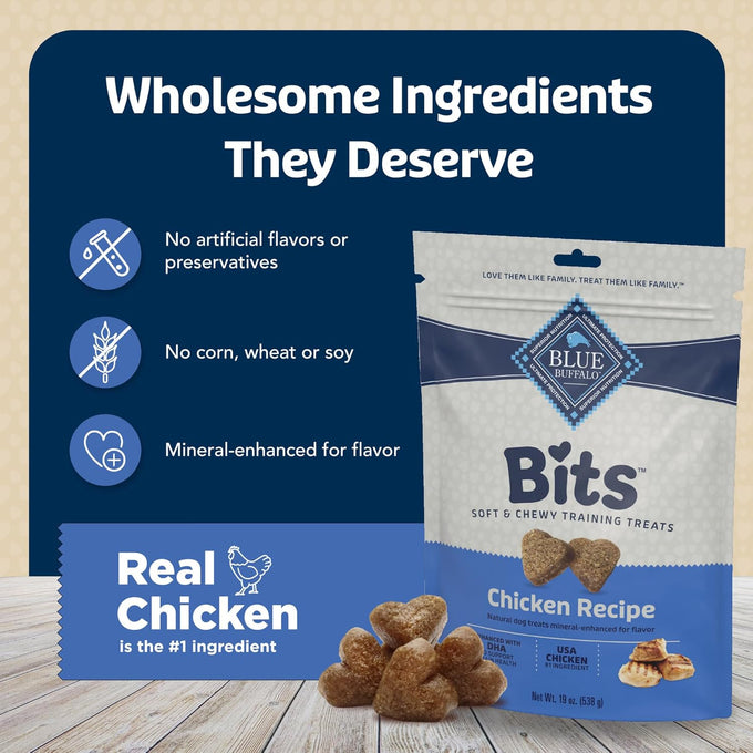 Blue Buffalo natural soft dog treats for training with real chicken, DHA, and wholesome ingredients, 19-oz bag