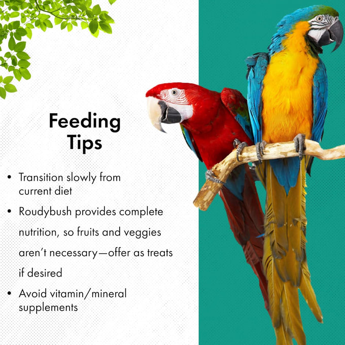 RoudyBush Daily Maintenance Food for Small Birds - Scientifically Formulated Pellets with Corn, Wheat, Soy, and More - 44oz