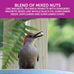 Pennington Ultra Double Nut and Fruit Bird Seed 10lbs, Year-Round Nutritious Blend